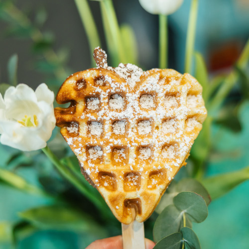 Poster Reception ISC 2023